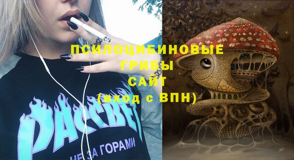 спиды Алзамай